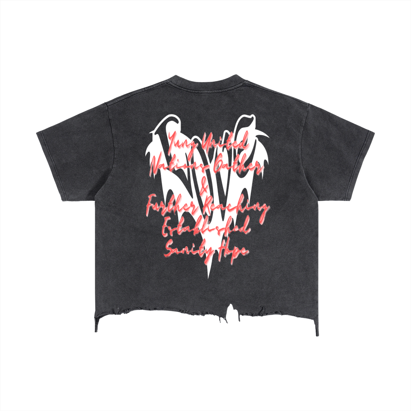 Vintage Wash Boxy Distressed Hem T-Shirt